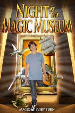 Watch Night At The Magic Museum Zmovie