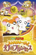 Watch Hamtaro: The Captive Princess Zmovie