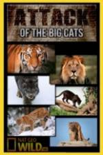 Watch National Geographic Attack Of The Big Cats Zmovie