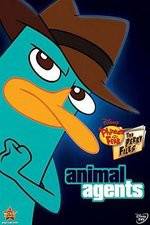 Watch Phineas And Ferb Animal Agents Zmovie