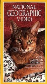 Watch Cats: Caressing the Tiger Zmovie