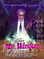 Watch The Mysterious Mr. Wizdom Zmovie