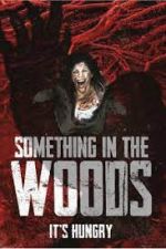 Watch Something in the Woods Zmovie