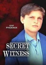 Watch Secret Witness Zmovie