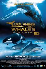 Watch Dolphins and Whales 3D Tribes of the Ocean Zmovie