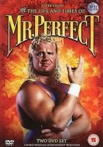 Watch The Life and Times of Mr. Perfect Zmovie