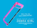 Watch Zebra Girl Zmovie