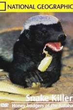 Watch National Geographic: Snake Killers Honey Badgers Of The Kalahari Zmovie