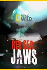 Watch National Geographic Red Sea Jaws Zmovie