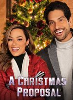 Watch A Christmas Proposal Zmovie