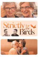 Watch Strictly for the Birds Zmovie