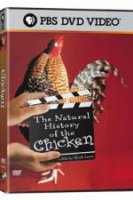 Watch The Natural History of the Chicken Zmovie