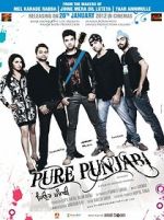 Watch Pure Punjabi Zmovie