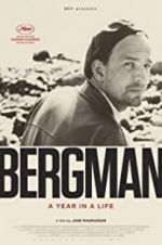 Watch Bergman: A Year in the Life Zmovie