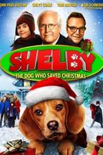 Watch Shelby Zmovie