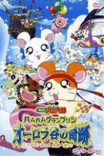 Watch Hamtaro Movie 3: Ham Ham Grand Prix Zmovie