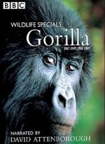 Watch Gorilla Revisited with David Attenborough Zmovie