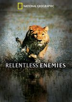 Watch Relentless Enemies Zmovie