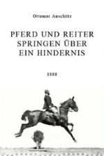 Watch Pferd und Reiter Springen ber ein Hindernis Zmovie