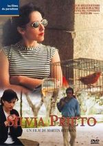 Watch Silvia Prieto Zmovie