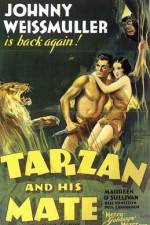 Watch Tarzan and His Mate Zmovie