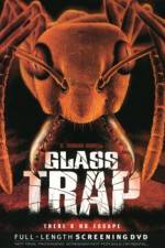 Watch Glass Trap Zmovie