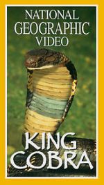 Watch King Cobra Zmovie