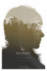 Watch Sea Horse Zmovie