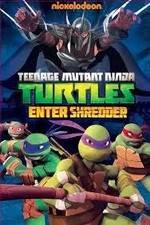 Watch Teenage Mutant Ninja Turtles: Enter Shredder Zmovie