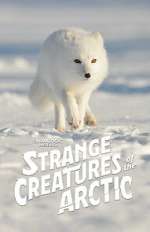 Watch Strange Creatures of the Arctic (TV Special 2022) Zmovie