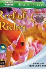 Watch Equator Reefs of Riches Zmovie