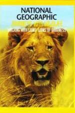 Watch National Geographic: Walking with Lions Zmovie