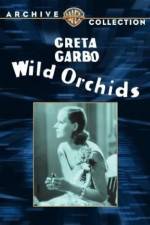 Watch Wild Orchids Zmovie