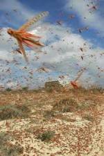 Watch Swarm Chasers: Locusts Zmovie