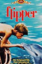 Watch Flipper Zmovie