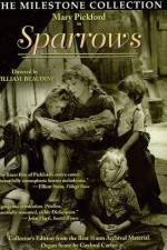 Watch Sparrows Zmovie