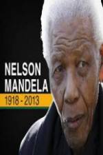 Watch Nelson Mandela: The Final Chapter Zmovie