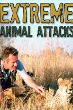 Watch Extreme Animal Attacks Zmovie