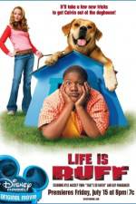 Watch Life Is Ruff Zmovie