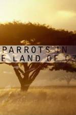 Watch Nature Parrots in the Land of Oz Zmovie