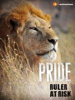 Watch Pride - Ruler\'s at Risk Zmovie