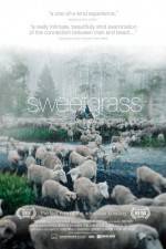 Watch Sweetgrass Zmovie