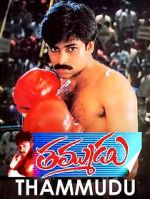 Watch Thammudu Zmovie