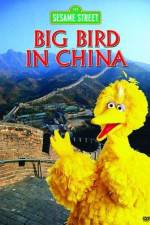 Watch Big Bird in China Zmovie