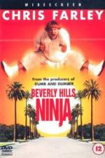 Watch Beverly Hills Ninja Zmovie