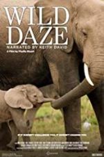 Watch Wild Daze Zmovie