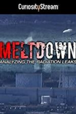 Watch Meltdown: Analyzing the Radiation Leaks Zmovie