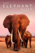 Watch The Elephant Queen Zmovie