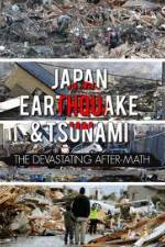 Watch Japan Aftermath of a Disaster Zmovie