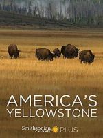 Watch America\'s Yellowstone Zmovie